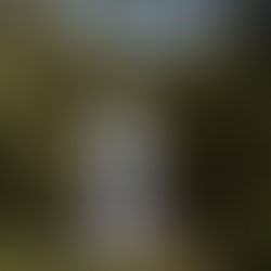 Intimate Elopement at Millaa Millaa Waterfalls | Kim + Paul