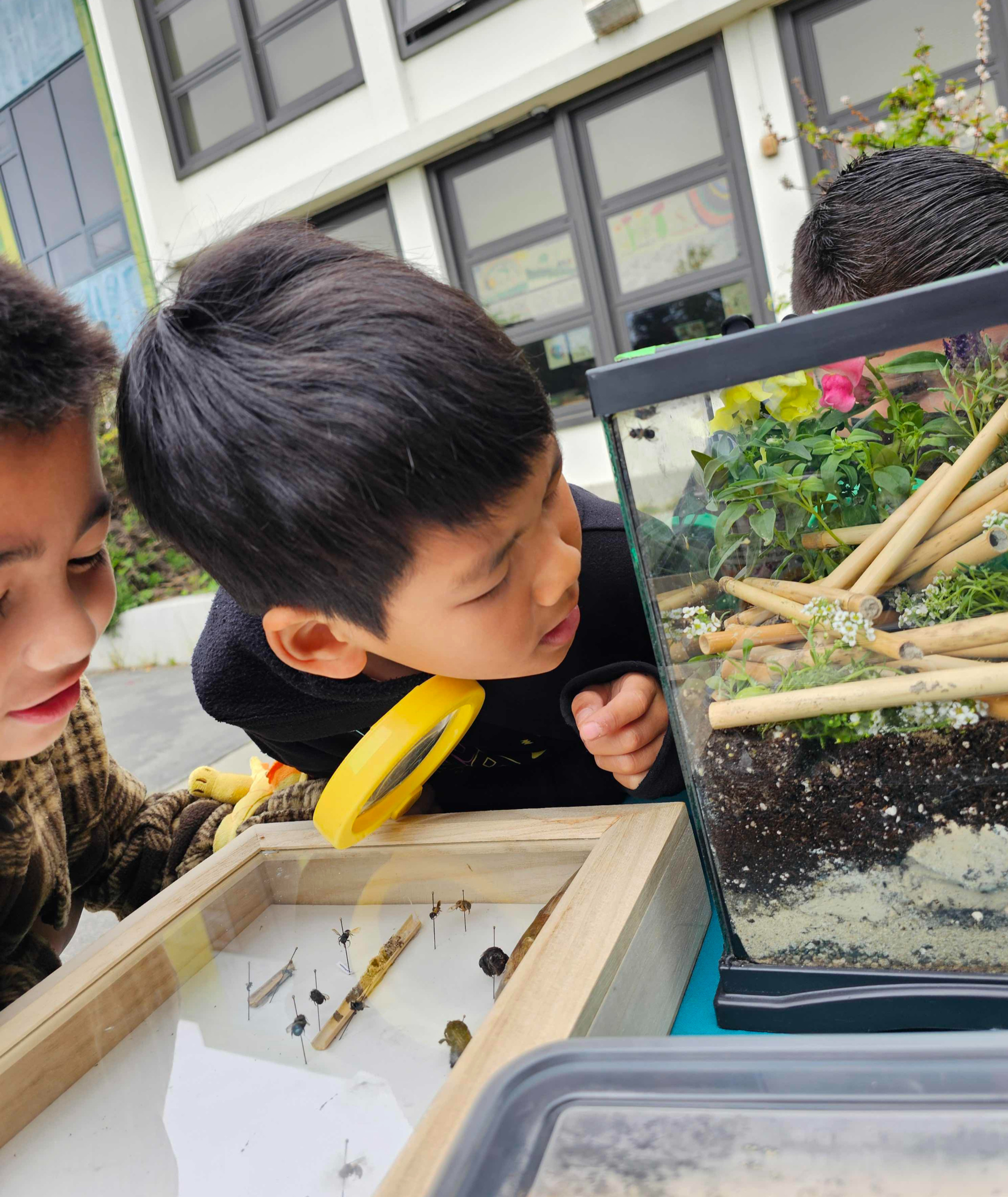 Contact Planet Bee Foundation