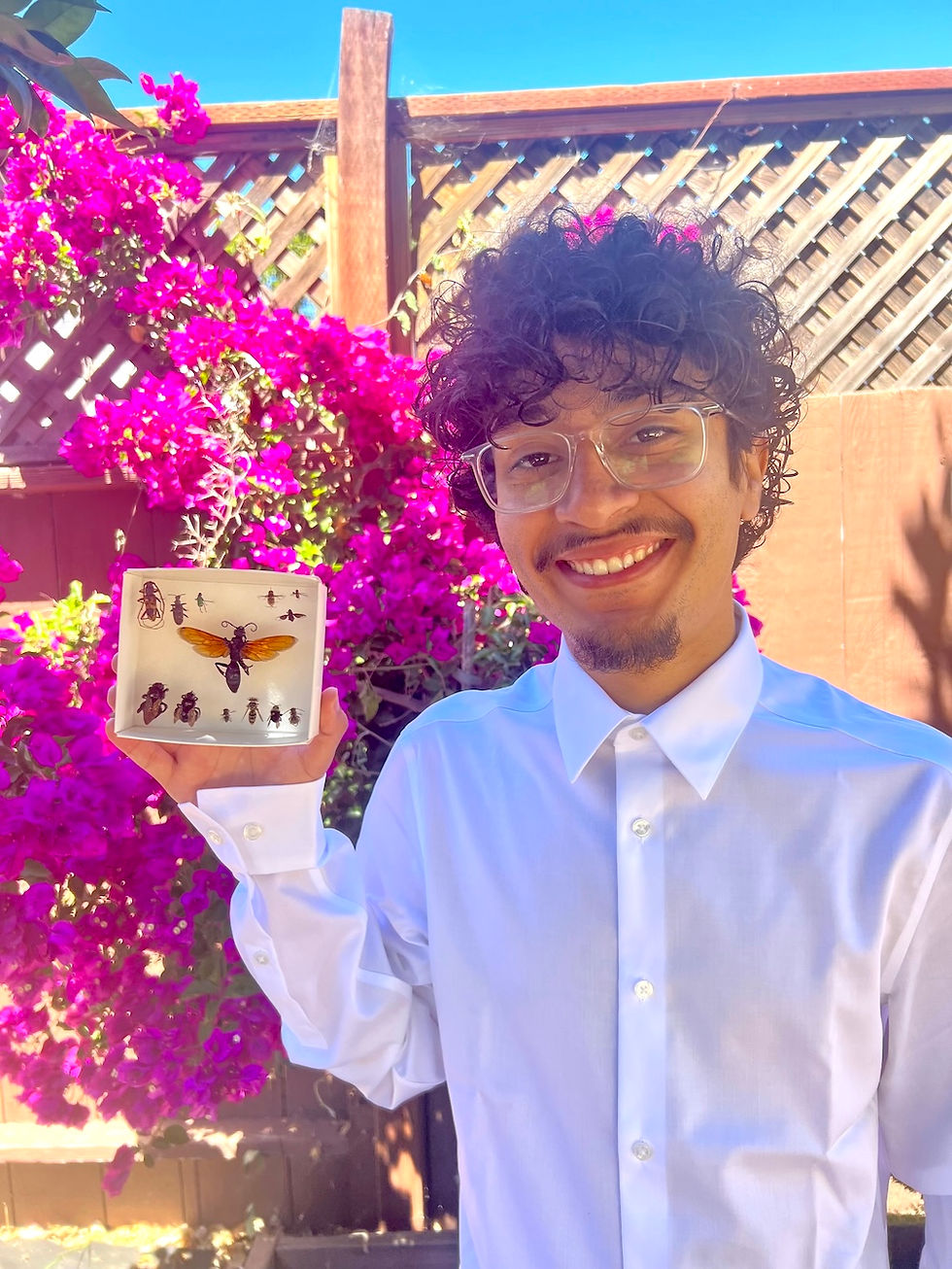 Diego Reyna-Wood