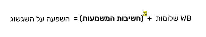 WB שלוֹמות + (חשיבות המשמעות) = השפעה על השגשוג (1).png