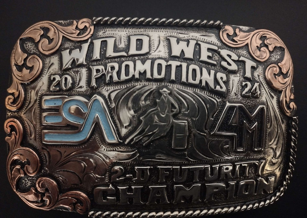 Thumbnail: Size 2.5 inches by 4 inch buckle