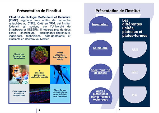 Image 02-05-2024 Ã 17.15 (1).jpeg