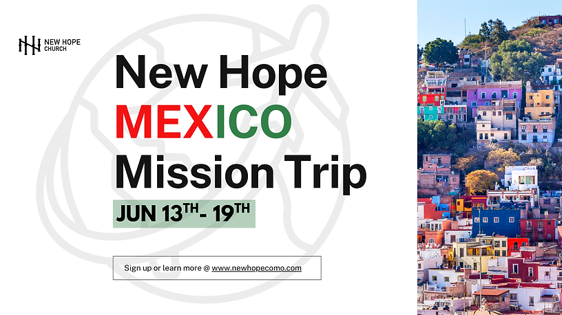 Graphics Website (1).png