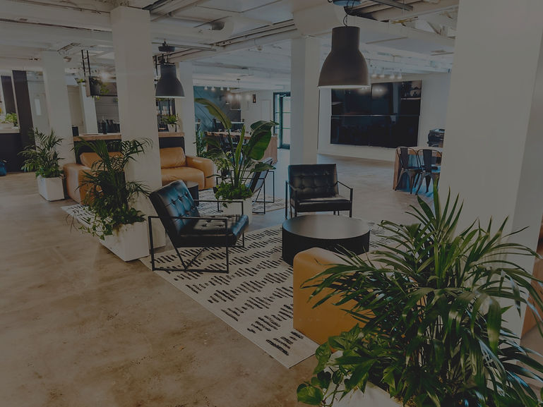 IMG_2679 (1)_edited.jpg