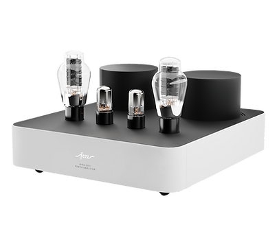 Fezz EVO Mira Ceti 300b mono power amplifier [Republika] 1 - layer.png