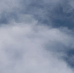 Wall Creeper Tichodroma muraria