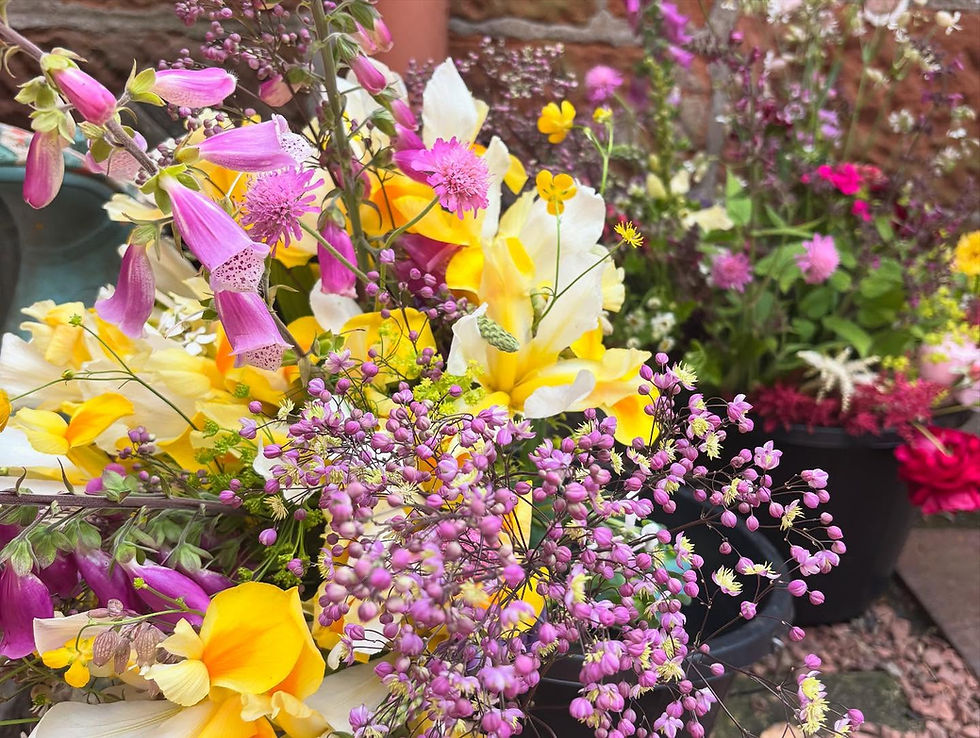 Thumbnail: DIY Flowers - Mixed Bucket, Available May - September