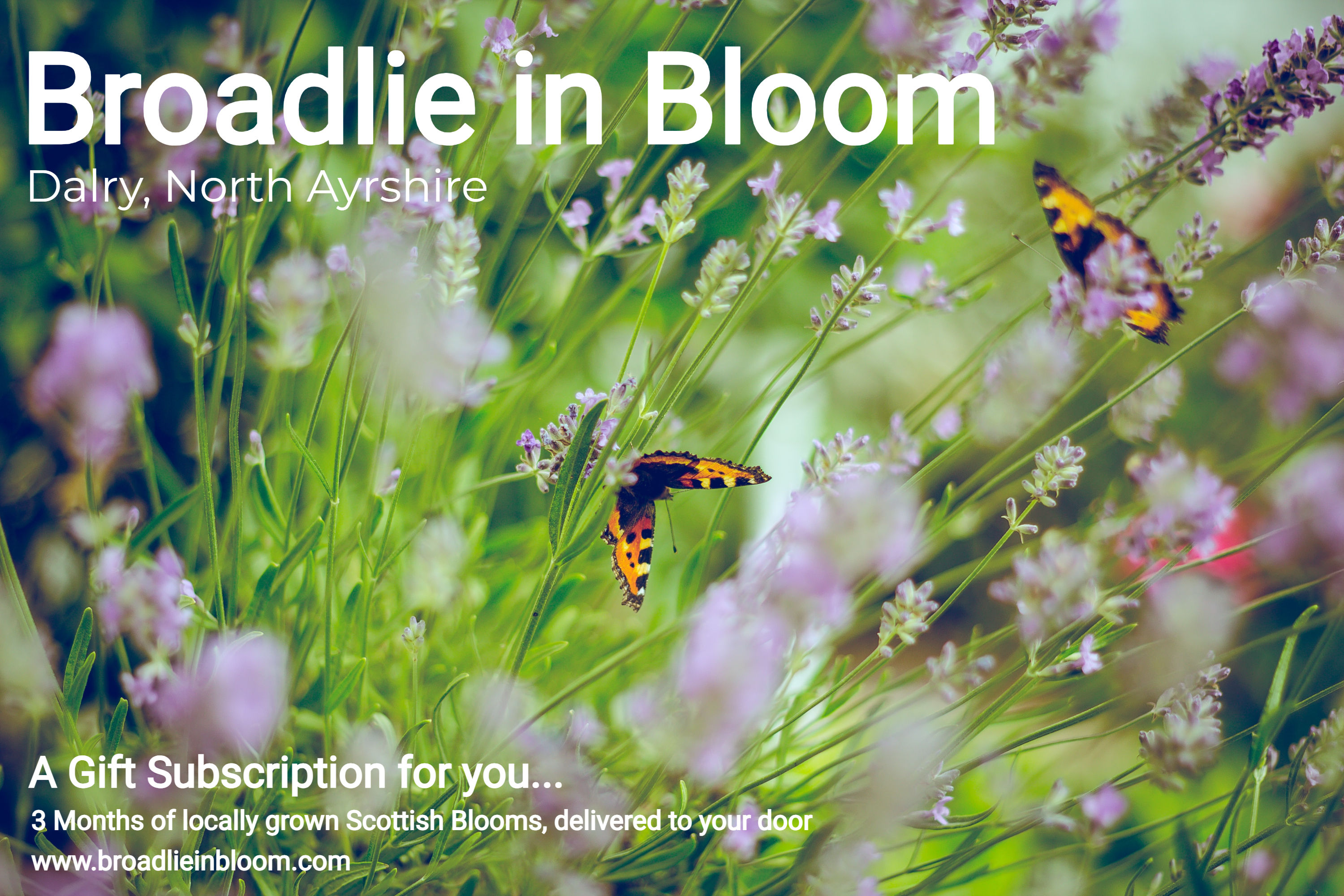 2026 Broadlie in Bloom Local Flower Subscription - 6 months