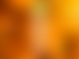 赤羽ビビオ　奄美たんかん収穫祭in東京赤羽