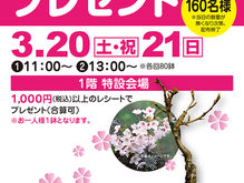 さくら苗木プレゼント🌸イベントレポート