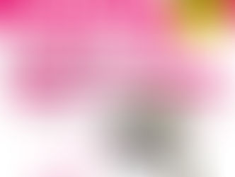 さくら苗木プレゼント🌸イベントレポート