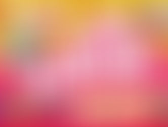 ビビオの2022初売! BIVIO DE BARGAIN