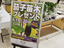 茄子の苗木プレゼントイベントを開催いたしました
