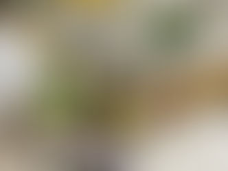茄子の苗木プレゼントイベントを開催いたしました