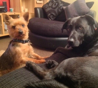 Oban and Toby