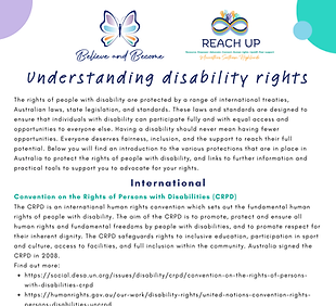 Understanding disability rights.png