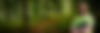 autumn-forest-2024-09-17-17-12-39-utc.jpg