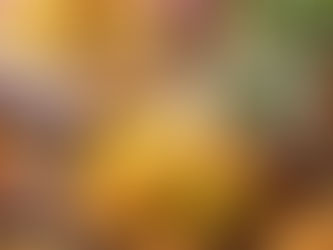 How Customers with Dietary Restrictions Can Still Enjoy Southern Food