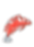 IMG_0464.png