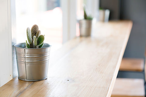 Cactus Plant