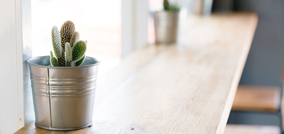 Cactus Plant