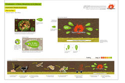 Terre d'Autruches - Projet