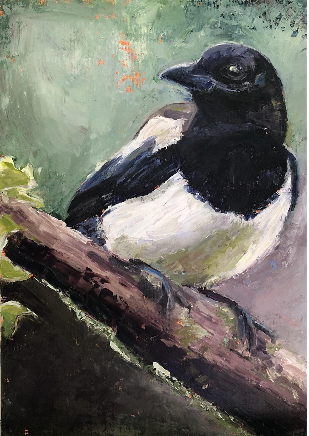 Magpie