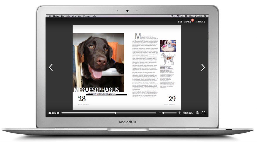 Veterinarian Online Publishing