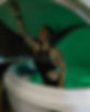 0S6A0826_edited.jpg