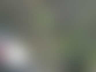 경기도 광릉 봉선사 채집 - 2011. 6. 15.