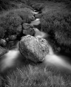 Highland Peace.webp