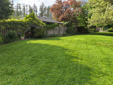 lawn-with-logo-3.jpg