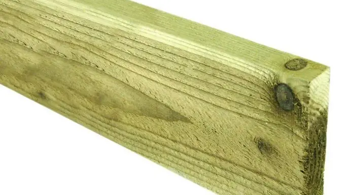 Palings 16x100mm