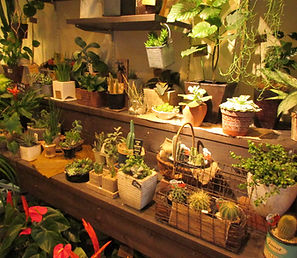 山梨県中央市　花屋　丹澤　インテリア　個性的　簡単