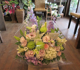 山梨県中央市　花屋　丹沢　祝い花　寄せカゴ　プレゼント　鉢花　観葉植物の寄せ植え　退職祝い　送別会　発表会
