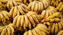 Kjo është arsyeja pse duhet të hani banane të zeza