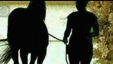 Shikojeni me vëmendje dhe na tregoni a po shkon a është duke ardhur kjo vajza