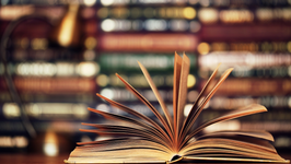 Libri, ‘jo mik’ shumë i dashur për kosovarët