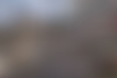 Kjo është shuma e parave e grumbulluar deri më tani pas tërmeteve në Shqipëri