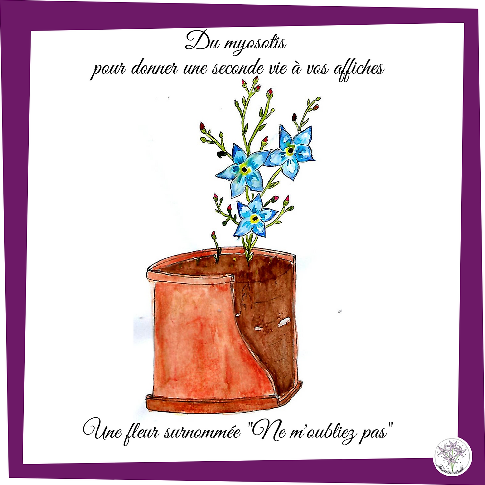Miniature : Affiche à planter _ Koala dormeur