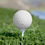 Miniature : Golf Balls, 6pcs