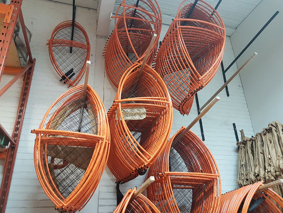 Kangook paramtor hoops.jpg