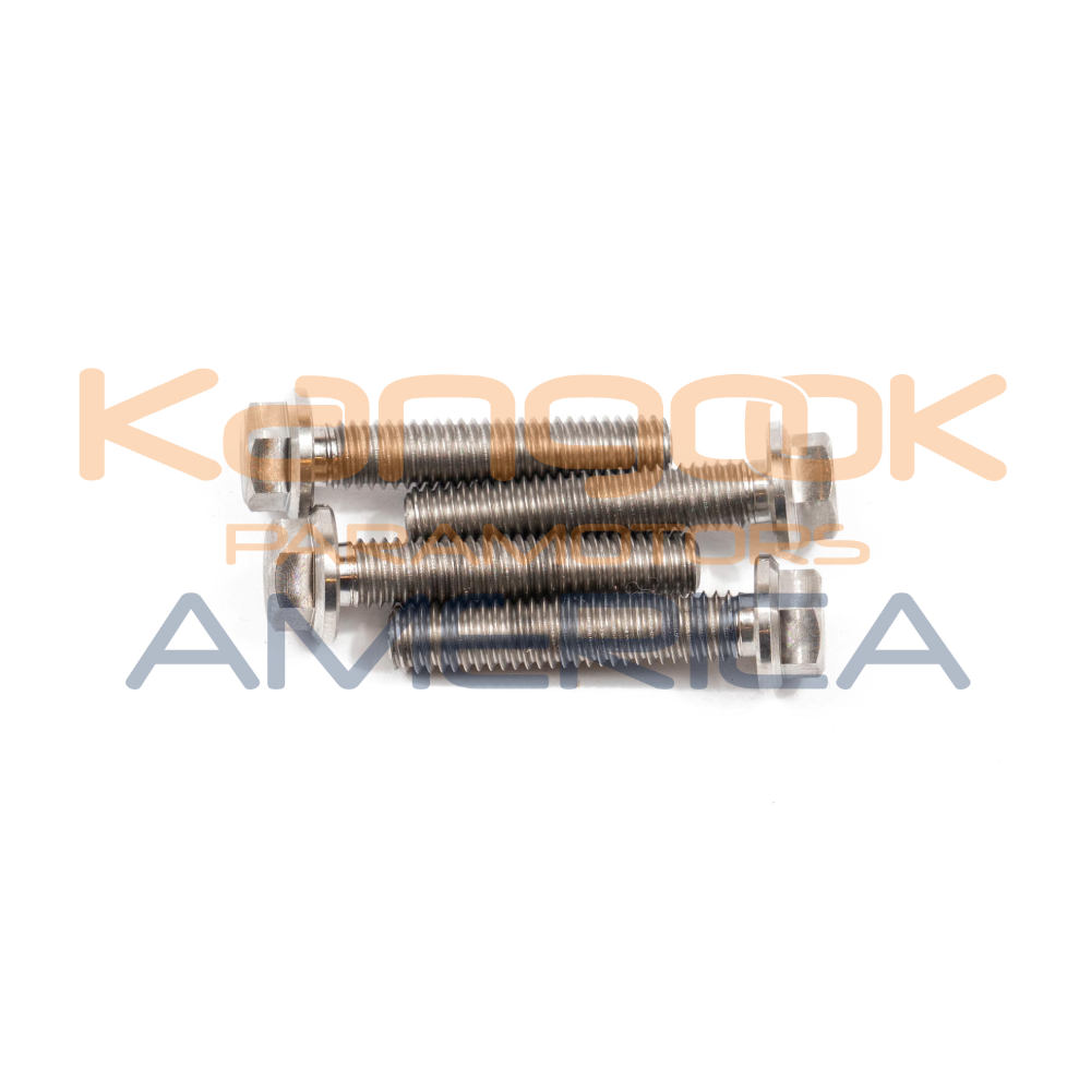 MF060 Titanium bolt 6 x 25 mm Tef DIN6921 (Set of 4)