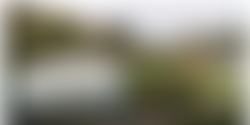 CBC News: Metrolinx tree cutting in Eglinton Flats sparks anger among local residents