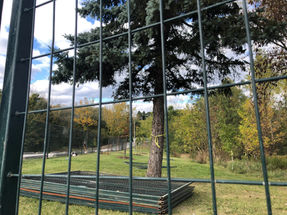 Help us honour 1,500 trees on Oct. 25