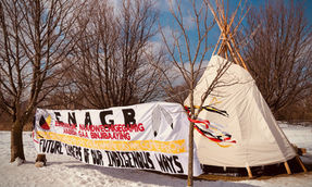 Metrolinx plans to clear cut 1,485 trees for the Eglinton Crosstown West Extension LRT line