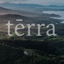 Writer: terrajungla