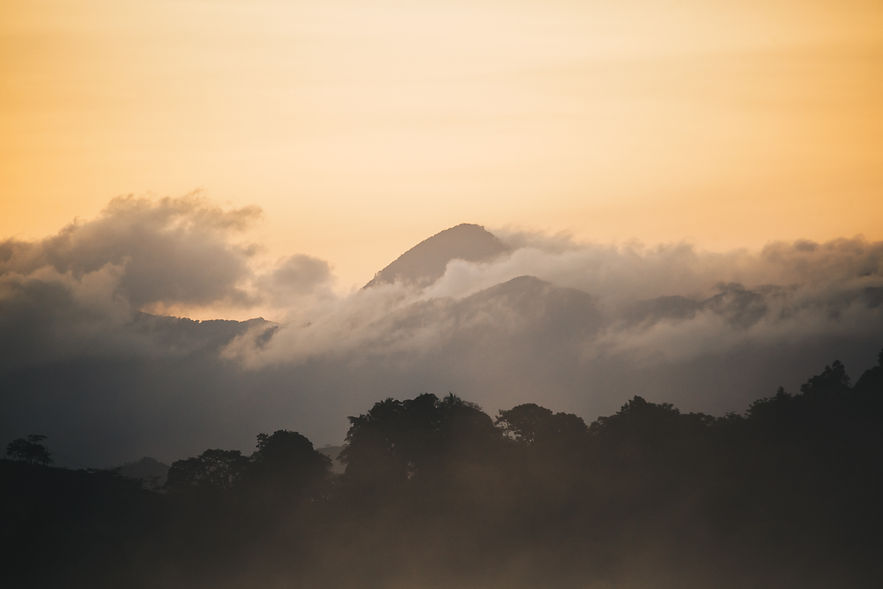 sunset coat views web-1.jpg