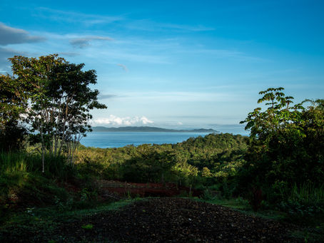 Discover Torio, Panama: A Hidden Coastal Gem with Incredible Investment Opportunities