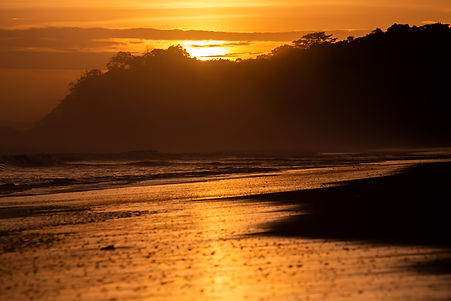 sunset vibe web-1.jpg